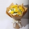 花仙居_忆春风