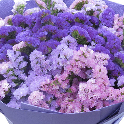 花市鲜花网_全国送花