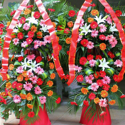 鲜花速递_开业鸿光 单个