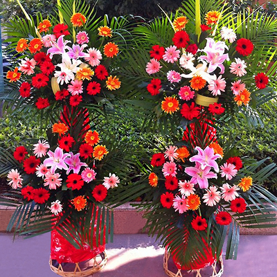 花市鲜花网_全国送花