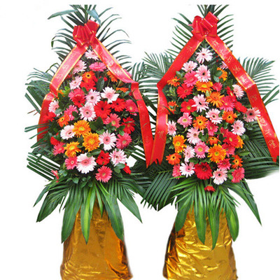 花市鲜花网_全国送花