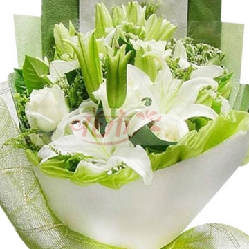 花市鲜花网_鲜花速递_百事合心