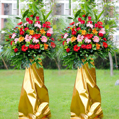 花市鲜花网_鲜花速递_金玉满堂 单个