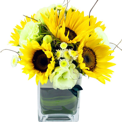 花市鲜花网_全国送花