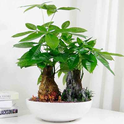 花市鲜花网_鲜花速递_和气致祥