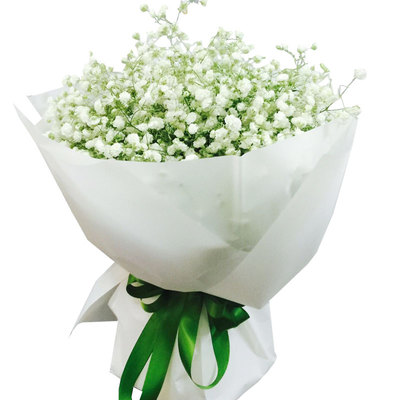 花市鲜花网_全国送花