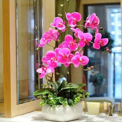 花市鲜花网_鲜花速递_紫气东来