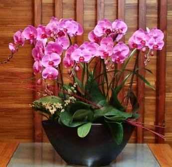 花市鲜花网_鲜花速递_暗香时光