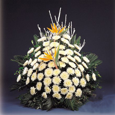 花市鲜花网_鲜花速递_天 堂