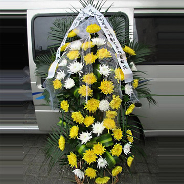 花市鲜花网_全国送花