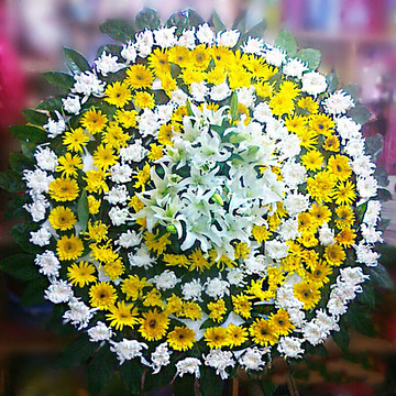 花市鲜花网_全国送花