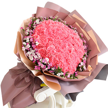 花市鲜花网_鲜花速递_养育之恩