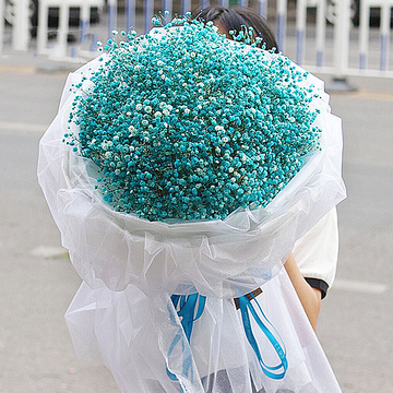 花市鲜花网_鲜花速递_星星点点