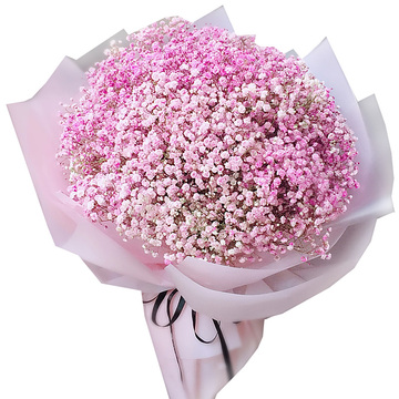 花市鲜花网_全国送花