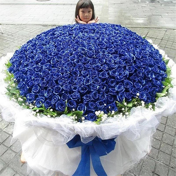 花市鲜花网_全国送花