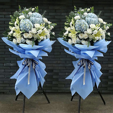 花市鲜花网_鲜花速递_富贵大吉 单个