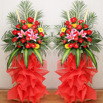 鲜花速递_日进无疆 单个