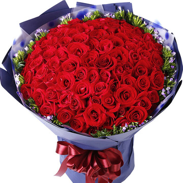 花市鲜花网_鲜花速递_爱情宣言