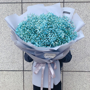 花市鲜花网_鲜花速递_思念如星辰