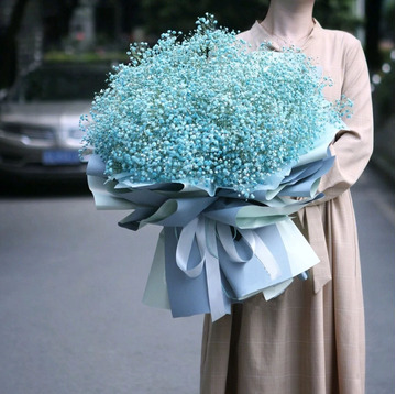 花市鲜花网_鲜花速递_漫天星月