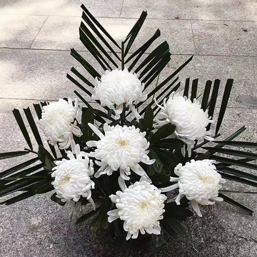 花市鲜花网_全国送花