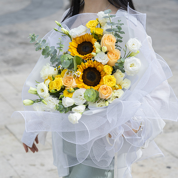 微风暖阳皆是你