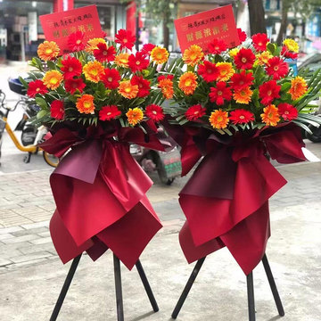 花市鲜花网_鲜花速递_宏图大展 单个