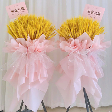 花市鲜花网_鲜花速递_发财大麦E款 单个