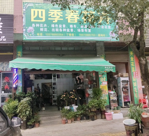 武冈市附近花店