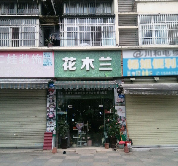 遂宁蓬溪附近花店