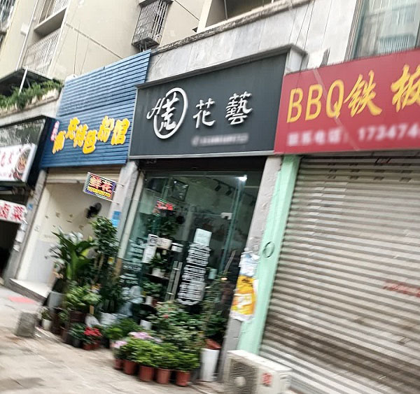 遂宁蓬溪附近花店