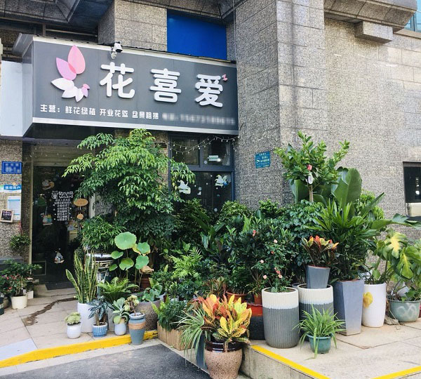 长沙岳麓区附近鲜花店