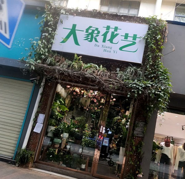 株洲醴陵附近鲜花店