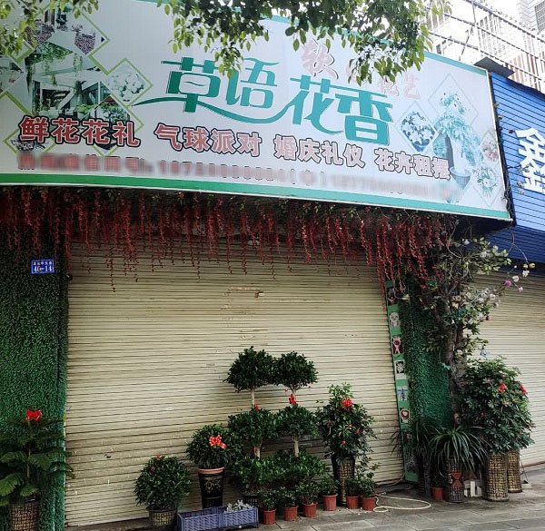 宁都县东方丽都附近花店