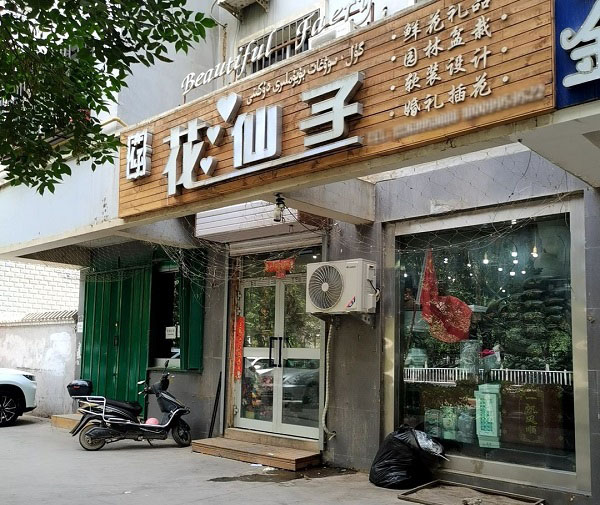 吐鲁番附近花店