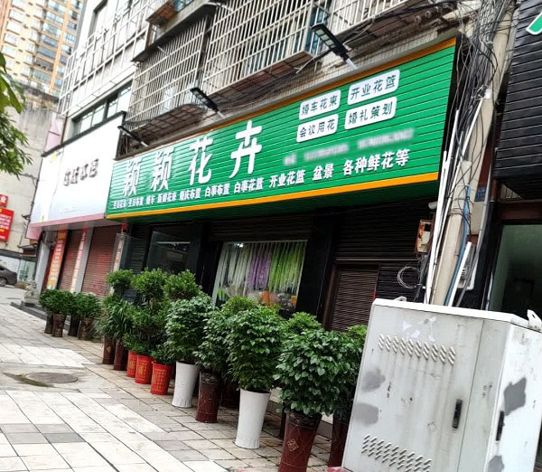 兴义市洒金街道附近的花店