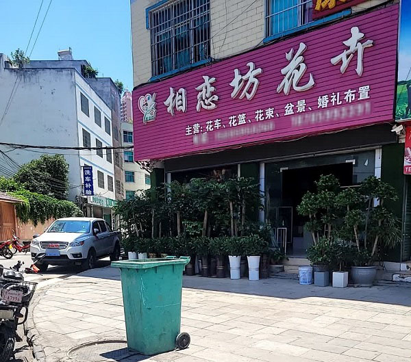 兴义市洒金街道附近的花店