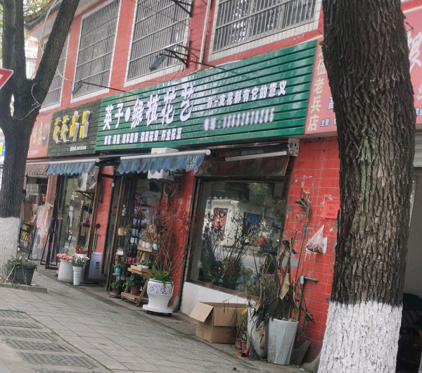 淞区枫溪城附近花店