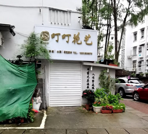 淞区枫溪城附近花店