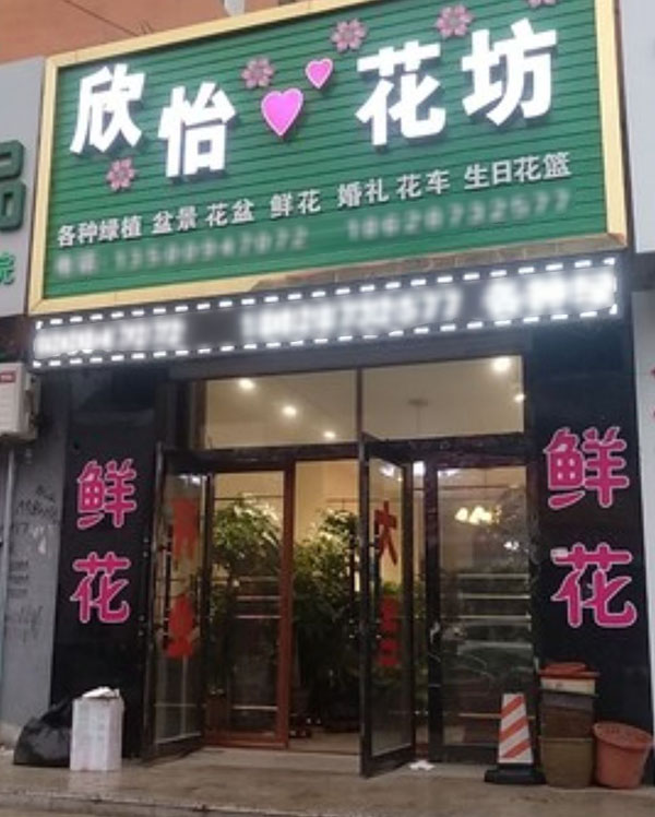 长岭县附近花店