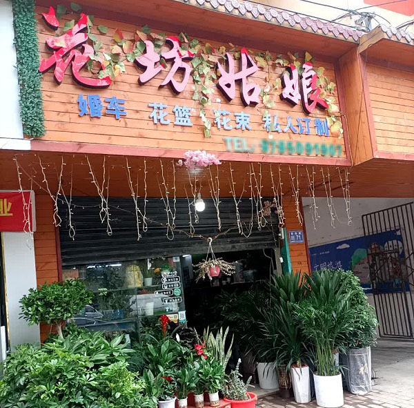 扎佐广场附近花店