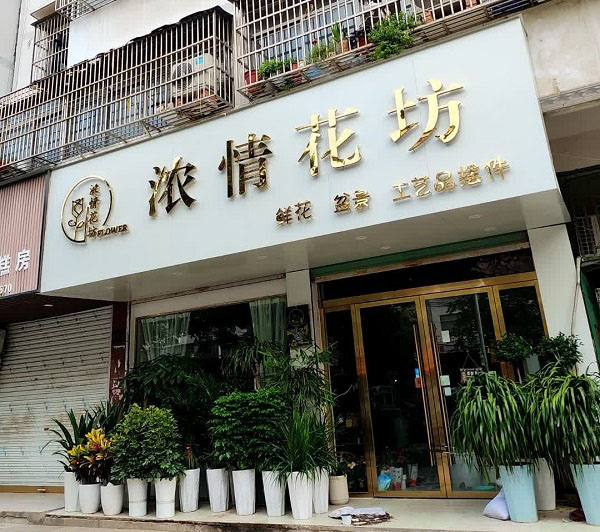 阜南县三塔路附近鲜花店