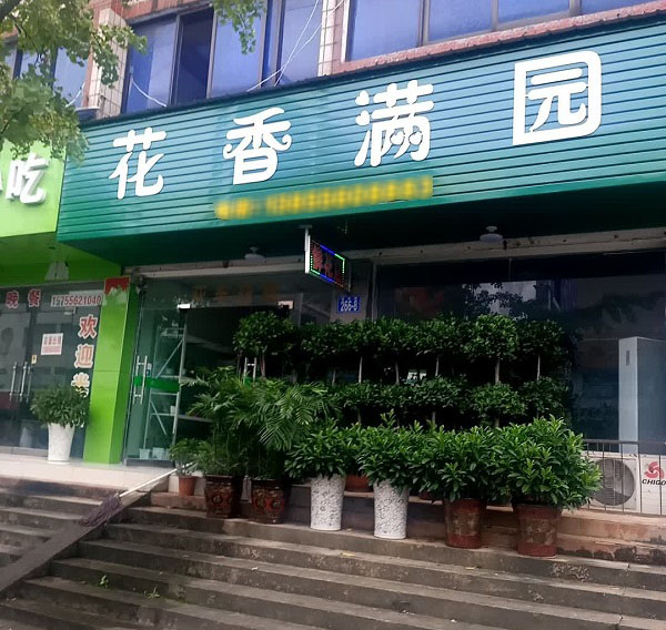 太湖县附近花店