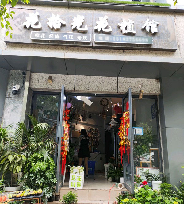 巴州区附近花店