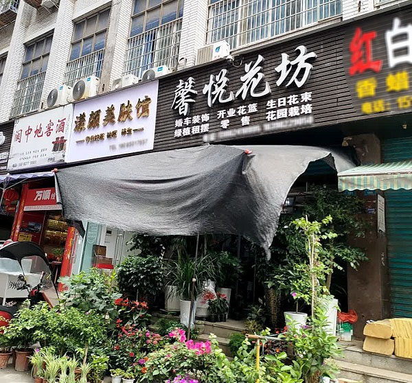 巴州区附近花店