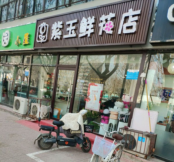 霸州明珠附近花店