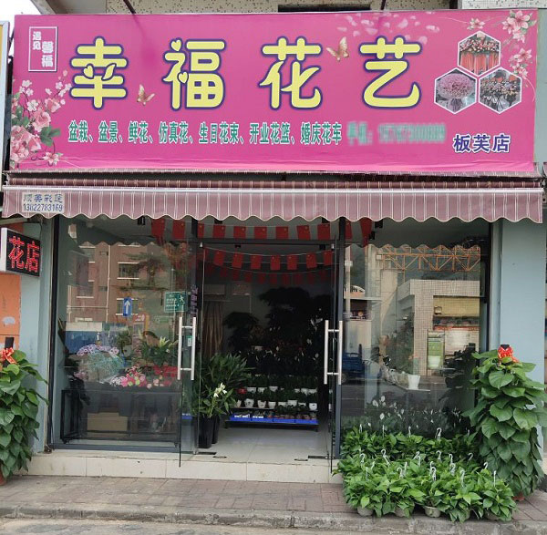 中山市板芙镇附近花店