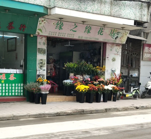 中山市板芙镇附近花店