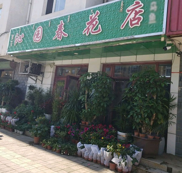 敖汉旗附近鲜花店