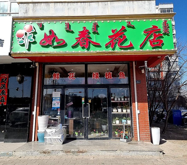 敖汉旗附近鲜花店